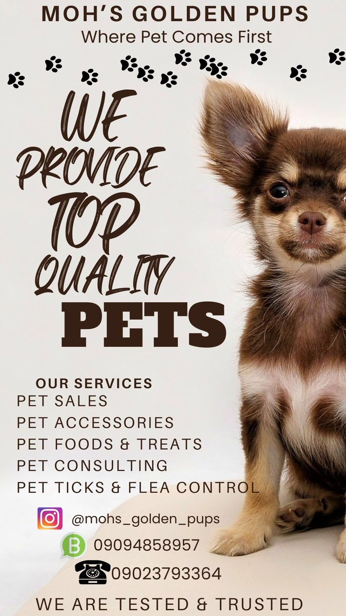 Momohdkaka9's tweet photo. @bod_republic I sell quality pet dogs at affordable prices https://t.co/ZaQfno5LiO