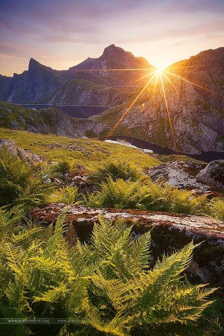 Ucan_Coin's tweet photo. Goodmorning Nft &amp; Crypto fam☕☀️

I wish you a happy, beautiful and prosperous weekend 🫶

#Emmi #OrdinalsNFT #Arbitrum
#EthNFT #SolNFT #SuiNFT #AptNFT 
#Btc #polygonNFT https://t.co/PDvHQtWT0N