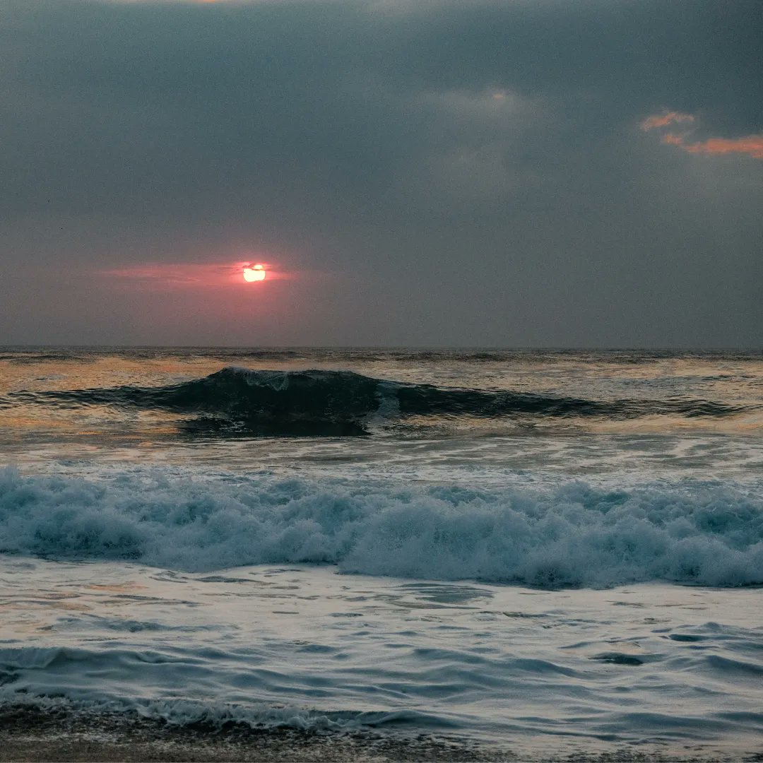 🌍 EARTH HOUR 2023 – TODAY – 8.30pm 

This is the part where we all switch off to reflect on what nature means to you. Join millions of people across the globe turning off their lights for an hour. ⌚

🌊Time to switch off. Reset. Recharge. 

#Earthhour 

📸@calebgiddensmedia