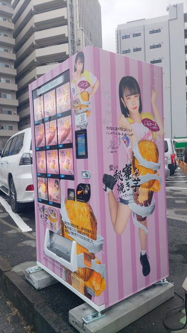 やきいも屋さん　ネット専売品　焼きいも　ねっとり　ほくほく　石焼き芋屋　おいも〜 電子レンジ用 焼き芋メーカー 石付き 陶器 石焼き芋 電子レンジ