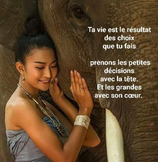 c_ensoi's tweet photo. Bonjour 🌞
#GoodMorningTwitterWorld #GoodVibes #weekend #weekendvibes #bienetre #ecoutersoncoeur #citationdujour https://t.co/n5IXEC8IrA