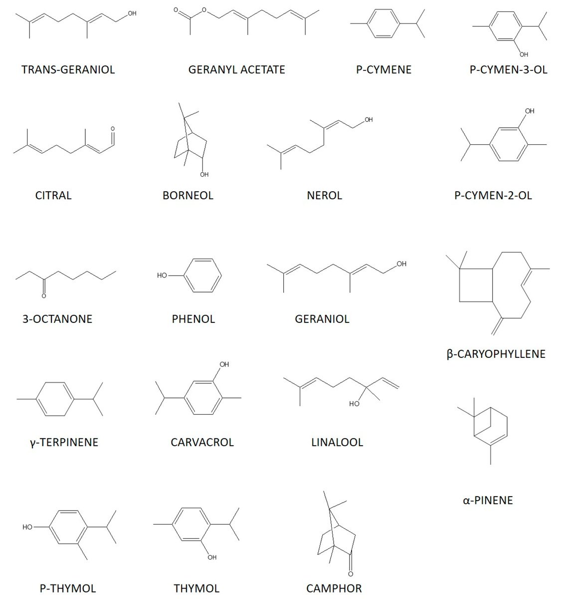 Molecules_MDPI's tweet photo. 📌#essentialoil #biologicalactivity #thyme
New Publication “The Chemical Composition and Biological Activities of Essential Oil from Korean Native Thyme Bak-Ri-Hyang (Thymus quinquecostatus Celak.)”
By: Songmun Kim, et al.
👉https://t.co/3xpipWf4H4
#mdpimolecules #NewPublication https://t.co/IcHRKyt8GG