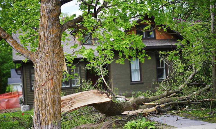 durhamregion.com tweet media