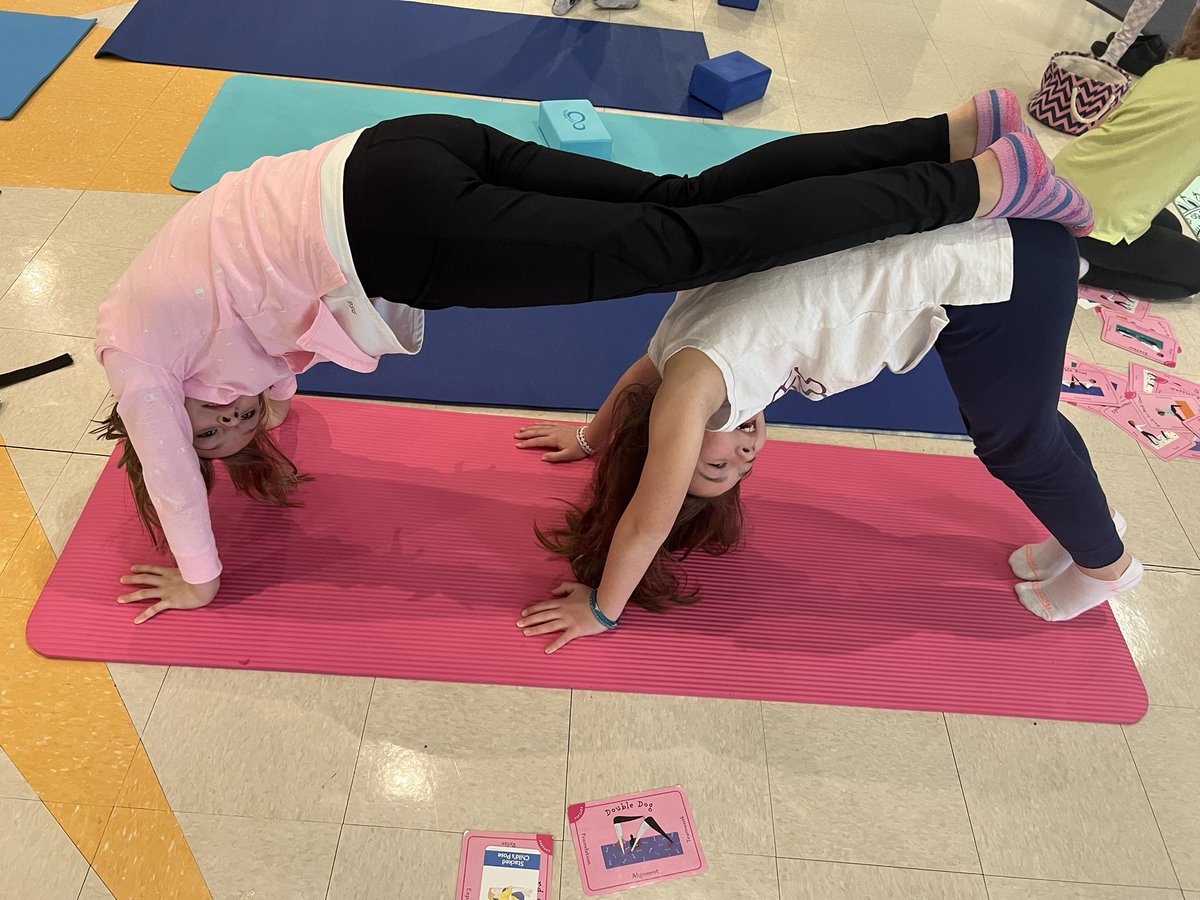 Lizard 🦎 on a 🪨 rock. Stacked table. Double down 🐶 dog. Yoga 🧘🏼‍♀️ partners. @MrsKellyHarding 😍