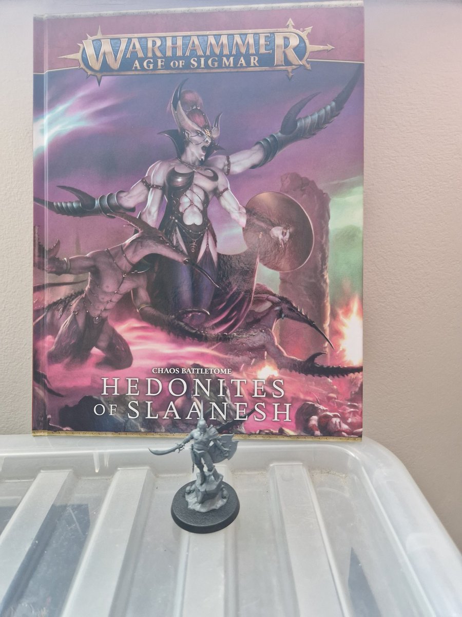 tzeentchmike's tweet photo. Been waiting for this book for so long, time to dust the hedonites off the shelf and finish painting up the mortal units. #aos #hedonites https://t.co/8eRuNqAN2L
