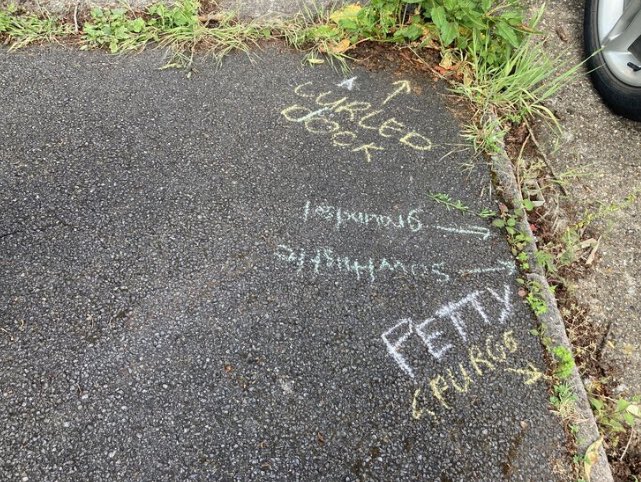 Wild_NG_'s tweet photo. @DaveGoulson we are so looking forward to your talk today in Nottingham to inspire our #glyphosatefree campaign #poisonfreepavements - 53 streets were piloted last year and we hope to create a city-wide plan https://t.co/TuNaSHRjhX @NayabPatel4 @nottslive @NottinghamOsf https://t.co/xe9cysSLb6