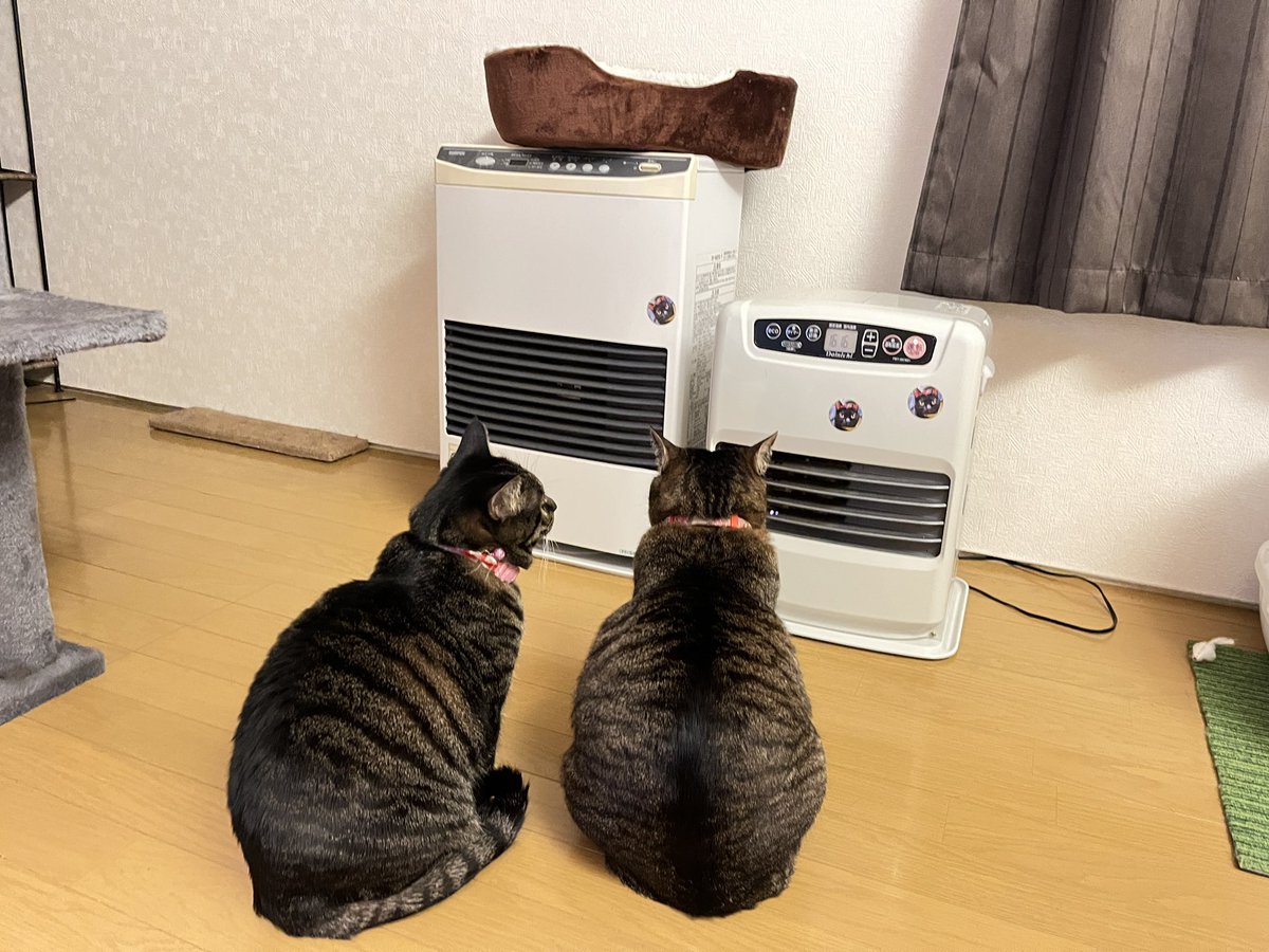 北海道はまだまだ冷えますな