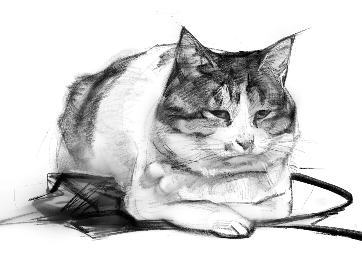 muxe_art's tweet image. 最近练习
