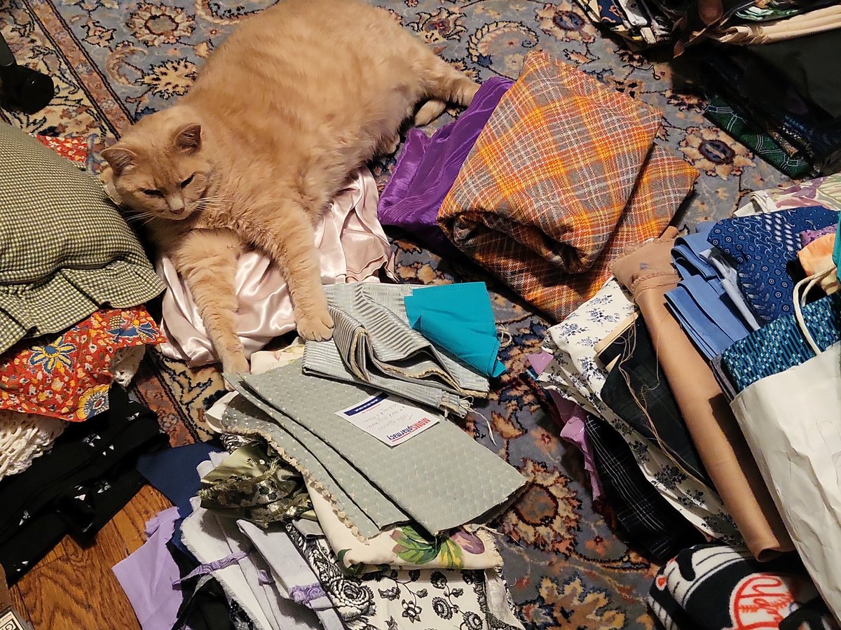 Organizing the fabric stash😹 #sewistsofinstagram #sewing #fabricstash #crafting #craftersofinstagram #etsyshop #etsyhandmade #catsofinstagram #caturday #catshelping #gingercat #catlifestyle #catlife #catoftheday #catlove #gingertabby #orangecats #Lionel