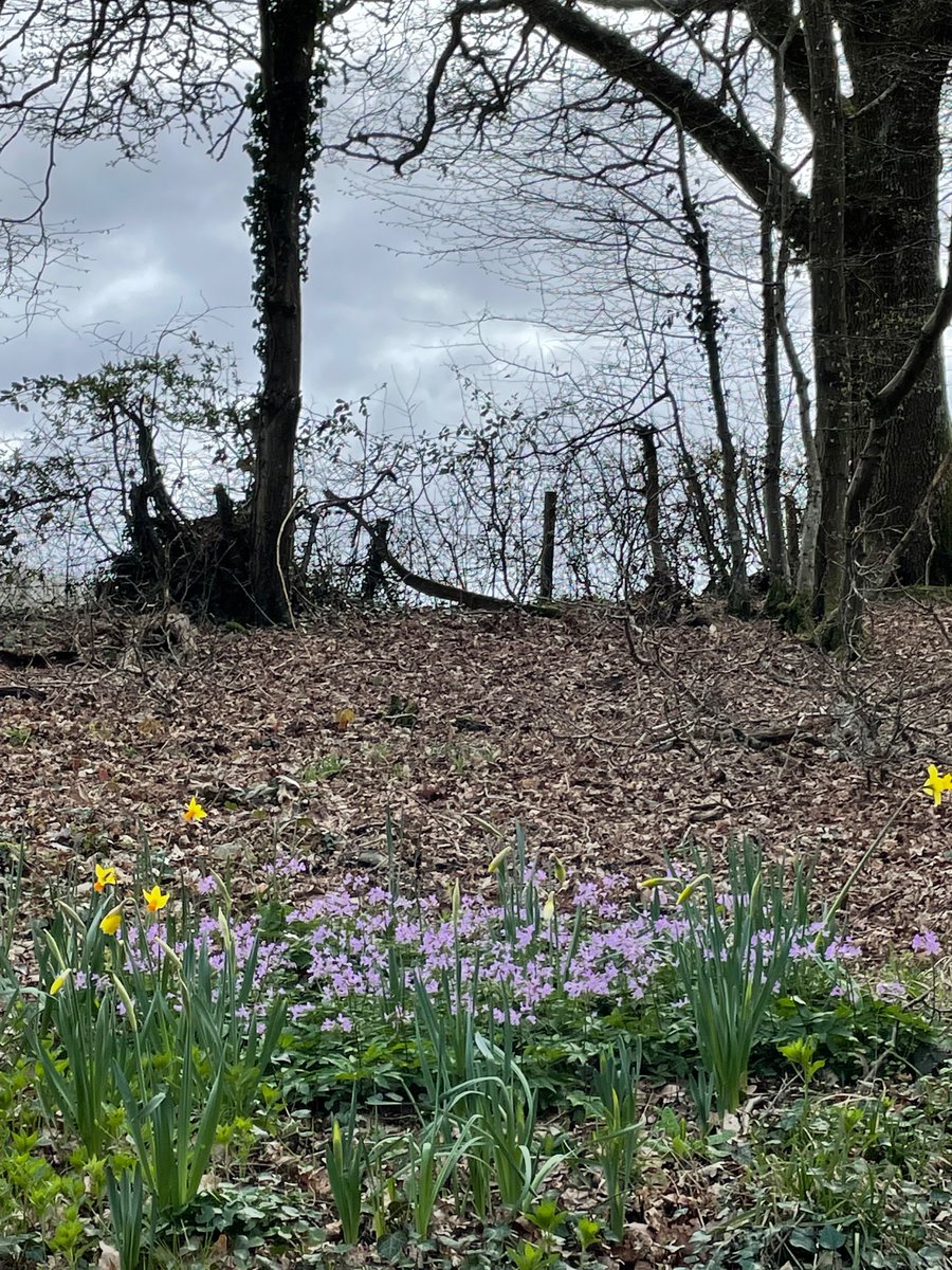 cathy_savage's tweet photo. Blustery day with our brilliant @Heathfield_CC Bronzes and superb #DofE team. Sunshine, showers, sheep and flowers 💐🌦️🥾 #saturdayworking #saturdaywalking!🤩 https://t.co/tyhe08YP9I