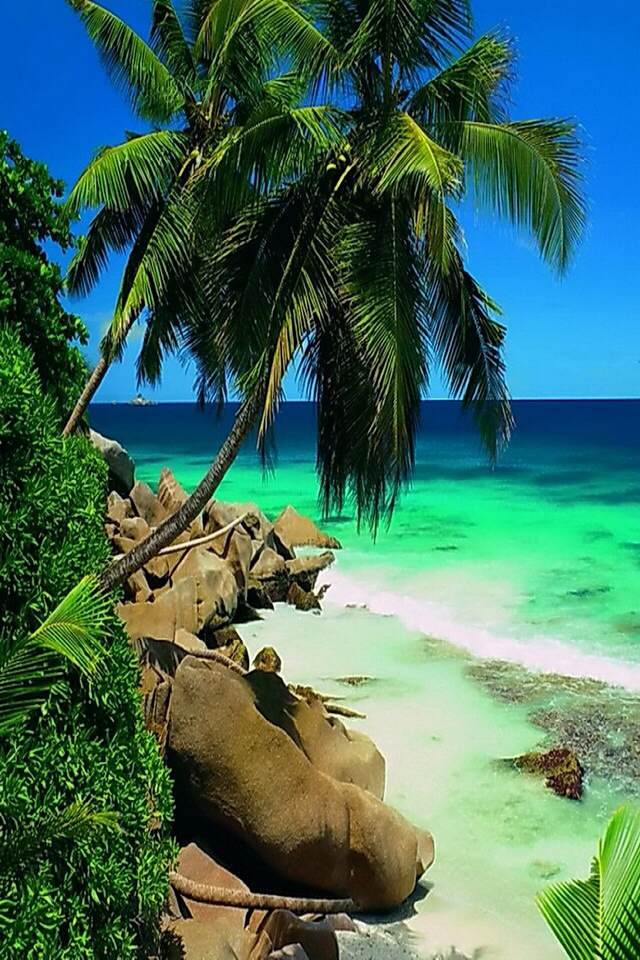 Earth pictures 🌍🌎🌏 (@__earthpictures) on Twitter photo 