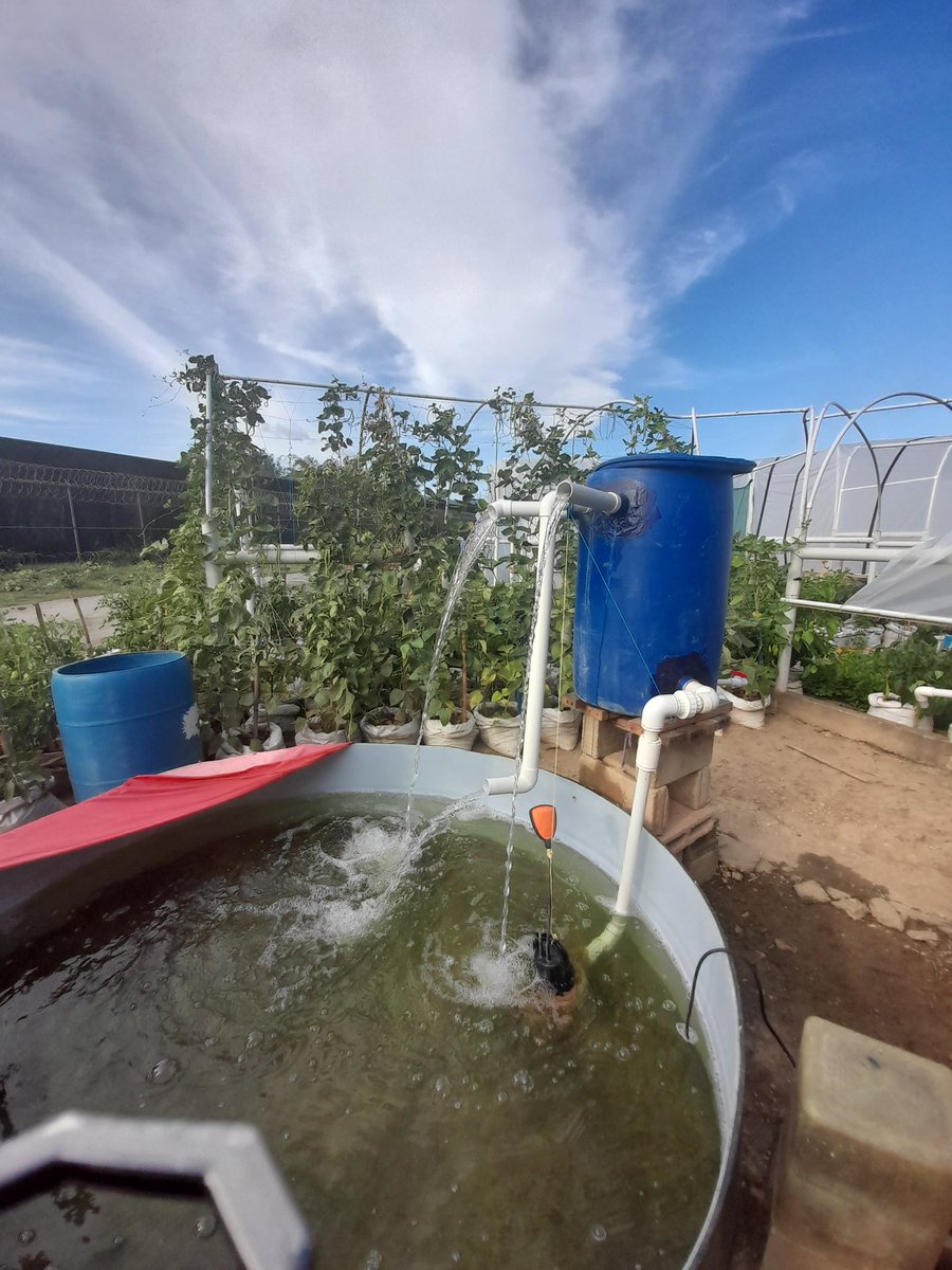 AlCooper424's tweet photo. Farming at the prison: largely funded collectively by prison officers and inmates, an example of how agriculture is being used to improve prisoner-inmate relations and rehabilitate inmates while providing them with skills for sustainable livelihoods upon completion of sentence. https://t.co/QtCulCstIv