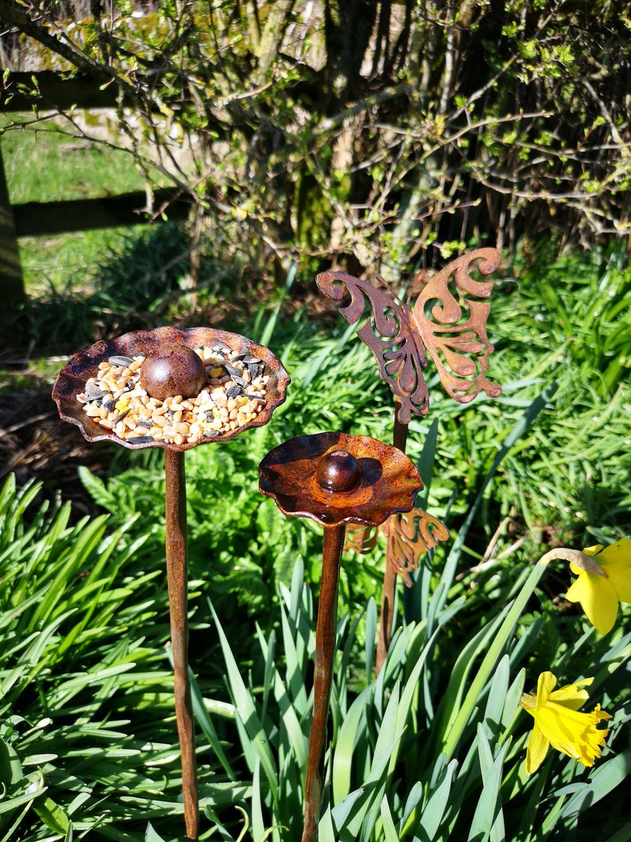 Set of 3 eye catching sculptures for your garden.  Great for the insects & birds!
Buy yours here etsy.com/uk/listing/143…

#raincatcher #birdfeeder #insectfeeder #plantsupports #gardenstakes #metalsculpture #gardenornaments #metalflowers #steelart