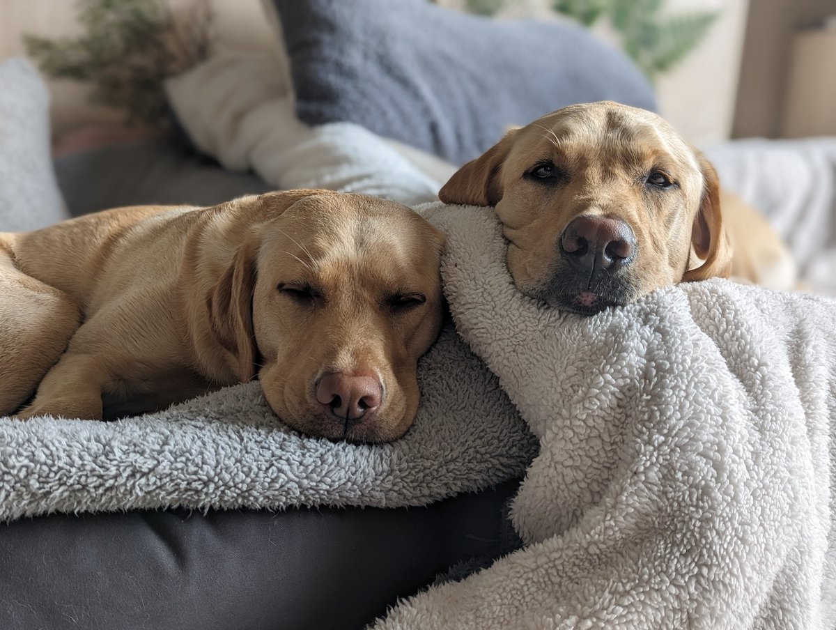 Good morning sleepyheads 😴 I needed a smile today ❤️