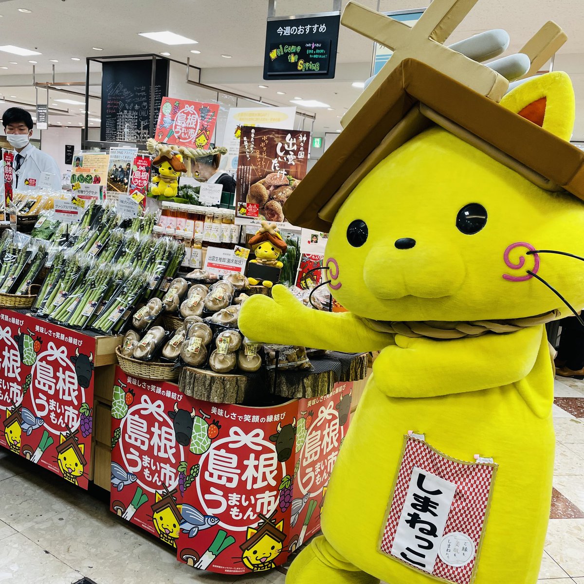 shimanekko_'s tweet photo. 埼玉県の伊勢丹浦和店
「美味しまねファーマーズマーケット」
へ行ってきたにゃ！
安全でおいしい旬の
「美味しまね認証農産物」を
PRしたにゃ(*σ´ω`*)
新鮮にゃお野菜食べてほしいにゃ⭐️
#伊勢丹浦和店 #埼玉県 #島根県
#美味しまね認証 #野菜 #しまねっこ https://t.co/SKlrLda3CI