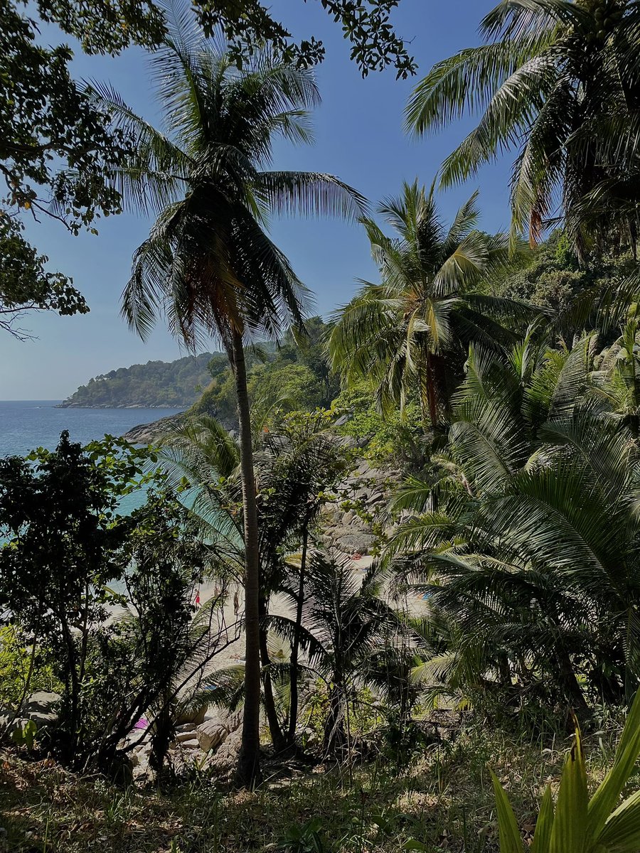 Today at freedom beach 🏖️ 
Gm friend 🐯✌🏻