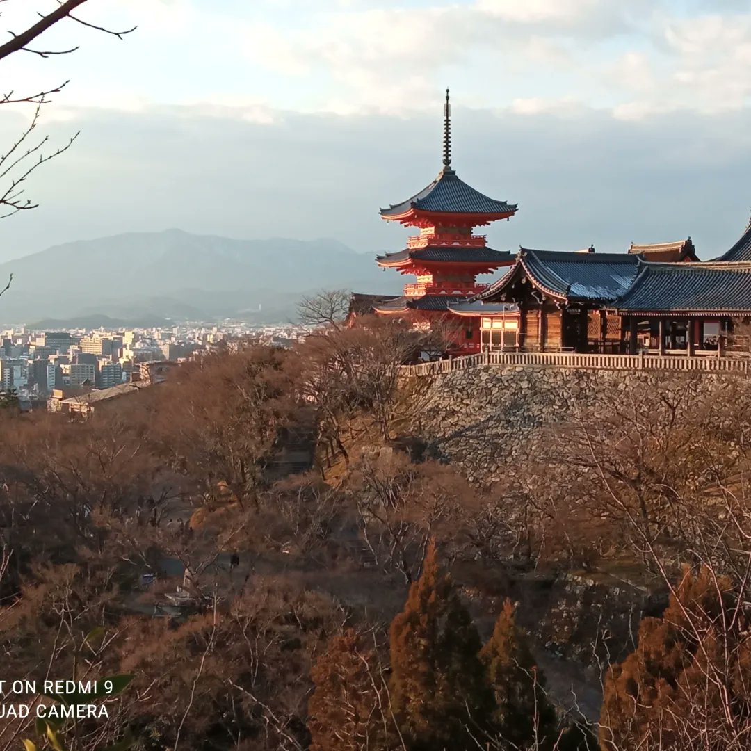 d99q0's tweet image. Japan 2023 - take me back #fernweh #japan