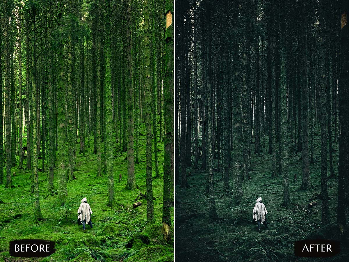PixmellowHQ's tweet image. Moody Forest Lightroom Presets

Moody Forest Lightroom Presets enhance the mood and tone of forest and nature photographs.

Get presets below this link👇🏿
pixmellow.com/products/moody…

#moodyforest #moodyforestpresets #lightroommoodyforesetpresets #moodypresets  #presetsforphotography
