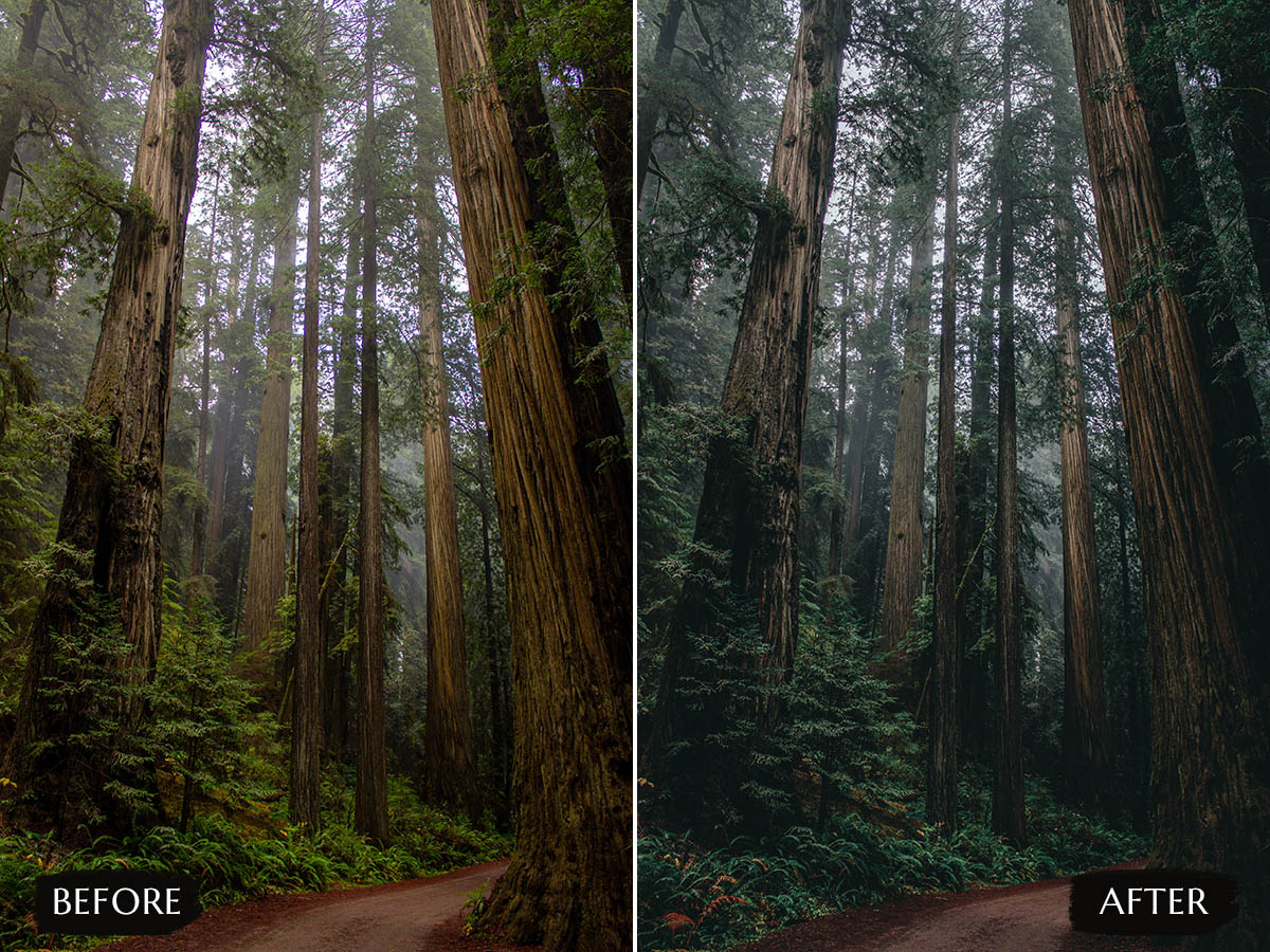 PixmellowHQ's tweet image. Moody Forest Lightroom Presets

Moody Forest Lightroom Presets enhance the mood and tone of forest and nature photographs.

Get presets below this link👇🏿
pixmellow.com/products/moody…

#moodyforest #moodyforestpresets #lightroommoodyforesetpresets #moodypresets  #presetsforphotography
