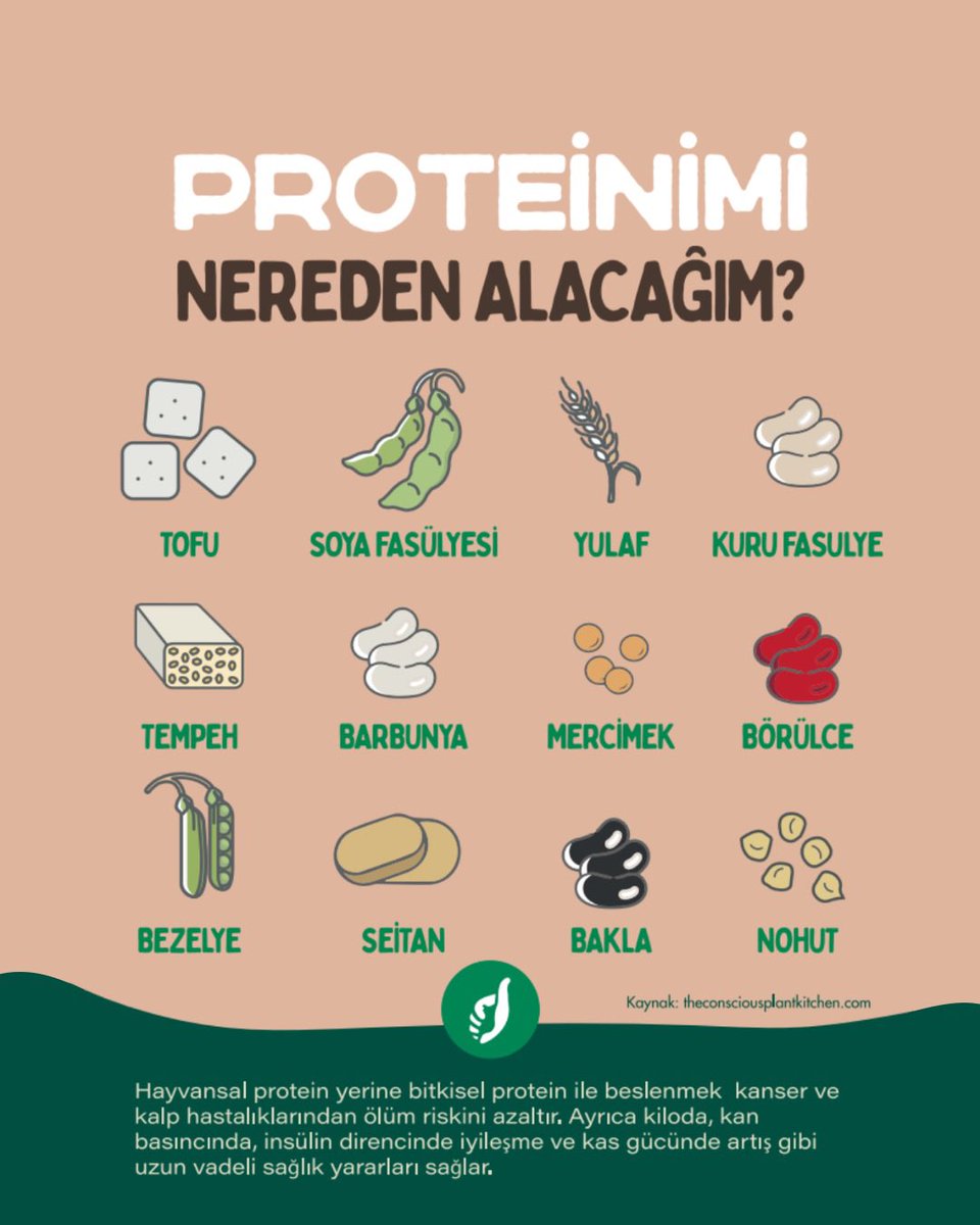 Bazı protein kaynakları.. siz proteininizi nerden alıyorsunuz??