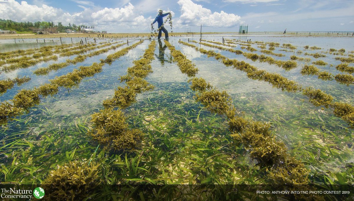 As the first <a href="/UN_Water/">UN-Water</a> #UNWaterConference2023 draws to a close, important also to consider that however we decide to look after our water hugely impacts what aquatic foods we can safely produce from it #OneHealthAquaculture 💧🐟🦀🦪 👇 nature.com/articles/s4301…