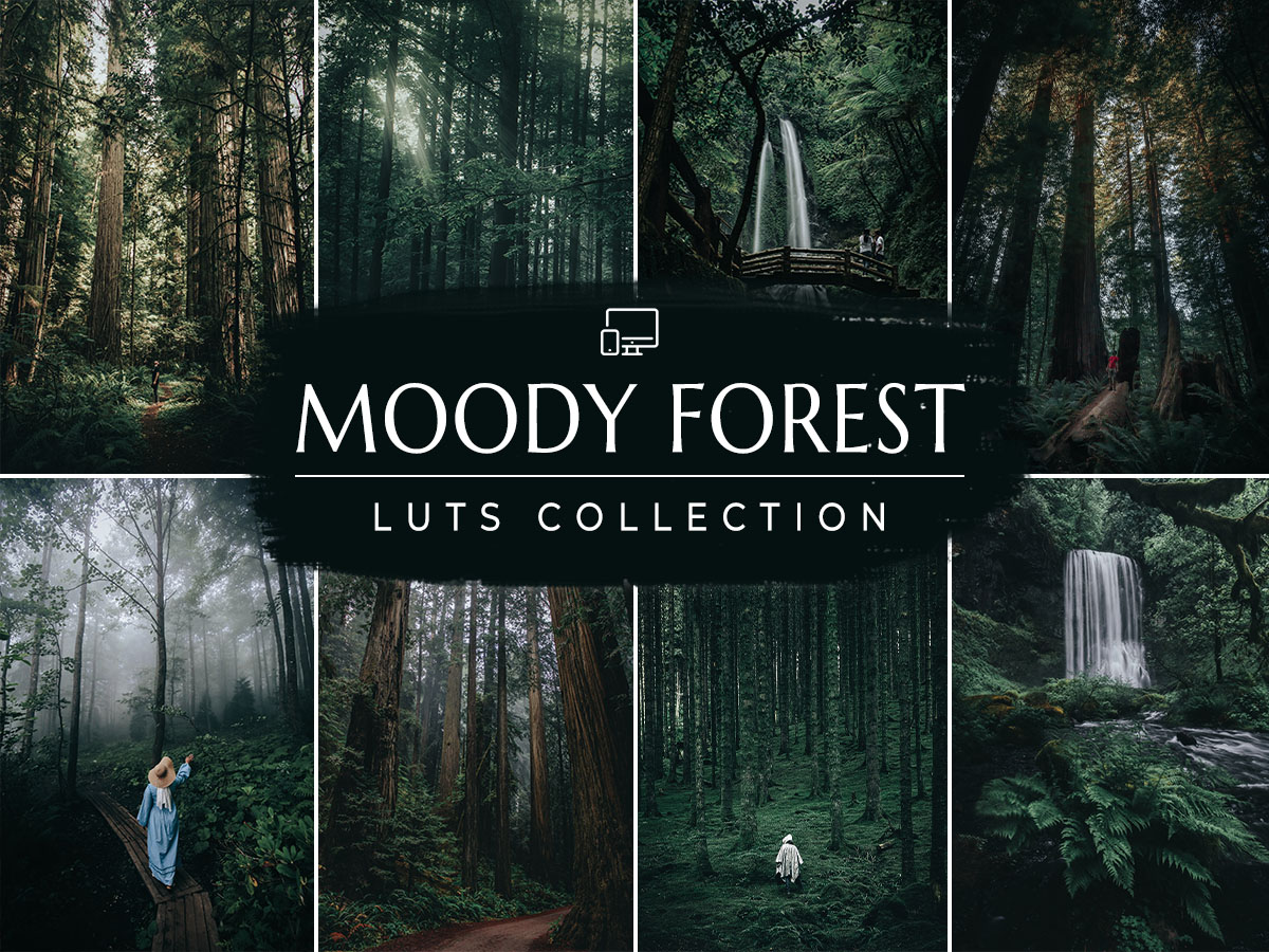 PixmellowHQ's tweet image. Moody Forest Video LUTs

Moody LUTs for Premiere Pro collection of color grading presets.

Get LUTs below this link👇🏿
pixmellow.com/products/moody…

#moodyforest #moodyforesetluts #moodyforesetvideoluts #moody #moodyluts #moodyvideoluts #musicvideolut #lutsvideoediting #lutediting #lut