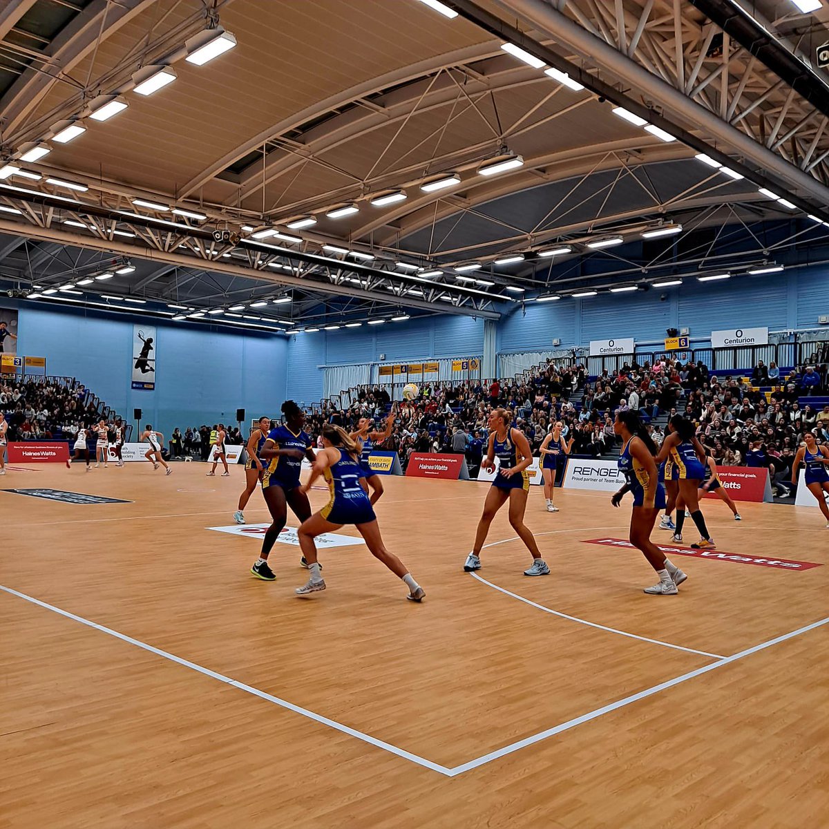 Lipson PE tweet media