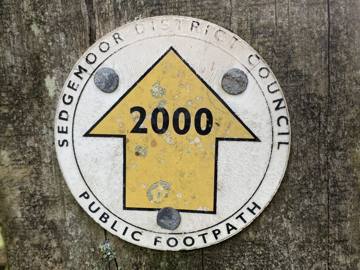 ChallengerWSM's tweet image. Trail path signs are like geo caches, I’ve become obsessed with collecting them in photo form while walking or hiking. #pathsigns #thisway