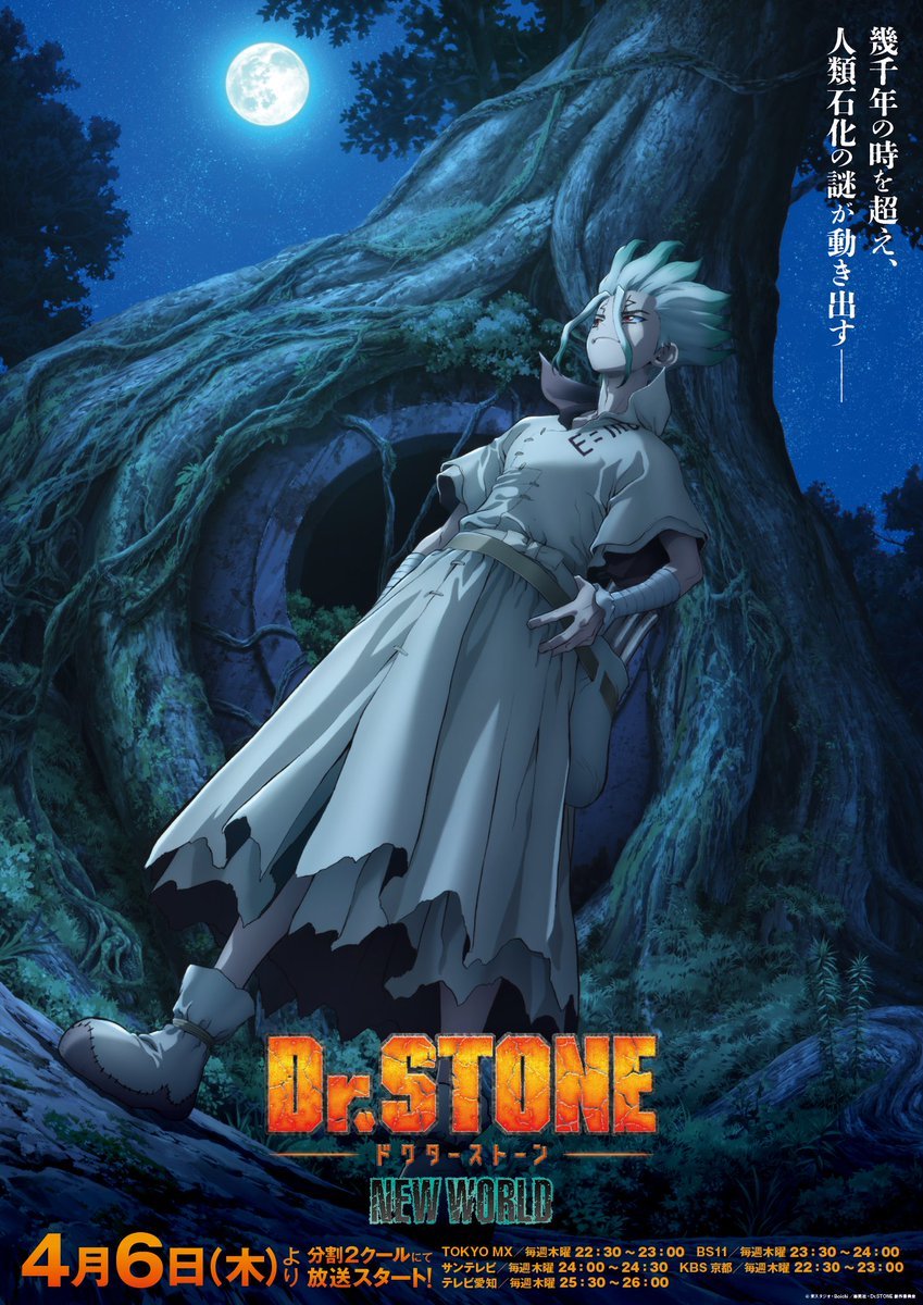 Shonen Jump News on X: Dr. STONE NEW WORLD TV Anime New Key Visual. The  series starts broadcasting on April 6th, 2023.  / X