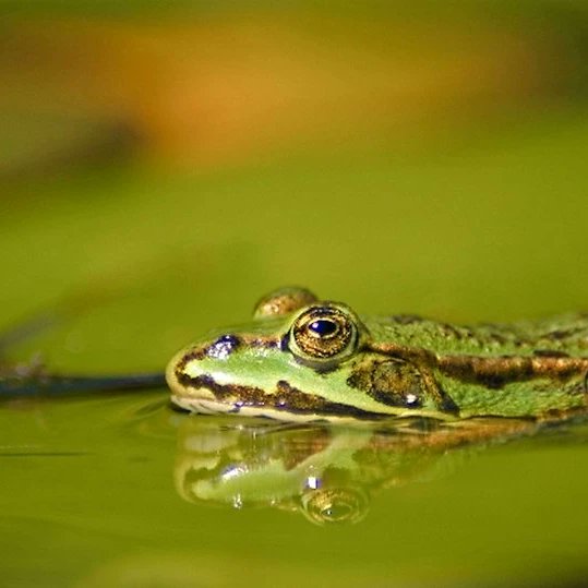 Goedemorgen!
Een mooi fotografieseizoen breekt aan, wil je ( nog) mooiere, altijd goed belichte en scherpe foto's maken? Reserveer een workshop. Er is nog plaats op 20 mei. mrtfotografie.nl/workshops/work…
Fijn weekend!🌷🌦☕️🙋‍♀️