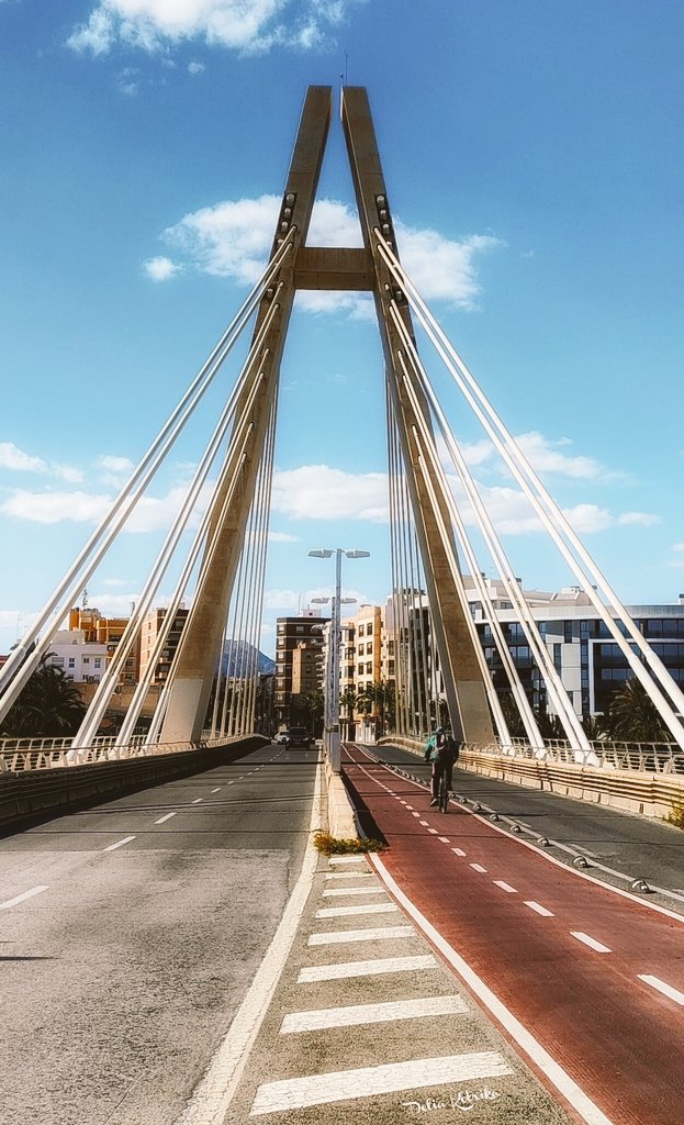 delia_kotrika's tweet image. #Eltx  🚲  #Elche
#Alacant