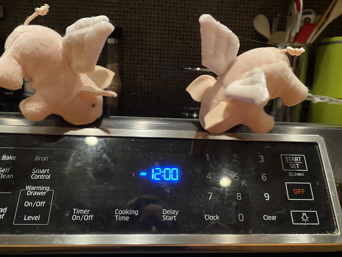 kathelburt's tweet photo. Just past midnight, so sleepy! Stay up late @ocean985 said, it will be fun they said. Shhhh, don’t tell; it was fun! Forget counting sheep, pigs must be orbiting the earth. 🐷🛌💤
#WhenPigsFly
#PastCurfew #midnight #FridayFun #SleepySaturday #LivingWithAjAndMira https://t.co/JNmuRD05Hv