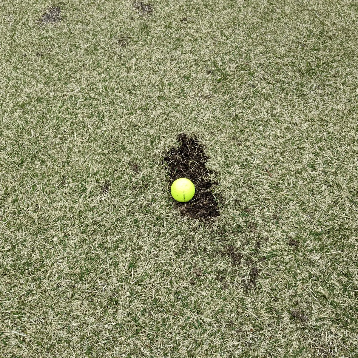 LifeGear_golf's tweet photo. セカンドここから。残り175ヤード。
頑張ってパー取ったのでみんな褒めてください。 https://t.co/dov3psty8K