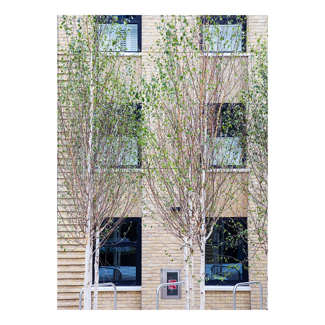 Clive_Sherlock's tweet photo. Student accommodation in Peckham, on the site of Whitten Timber, for the University of the Arts London.
Bordered by the Surrey Canal Walk park and close to Peckham Rye station.
Photography @clivesherlockphotography 

#timelessdesign #elegance #architect #peckhamlife https://t.co/u4QQ642OIh