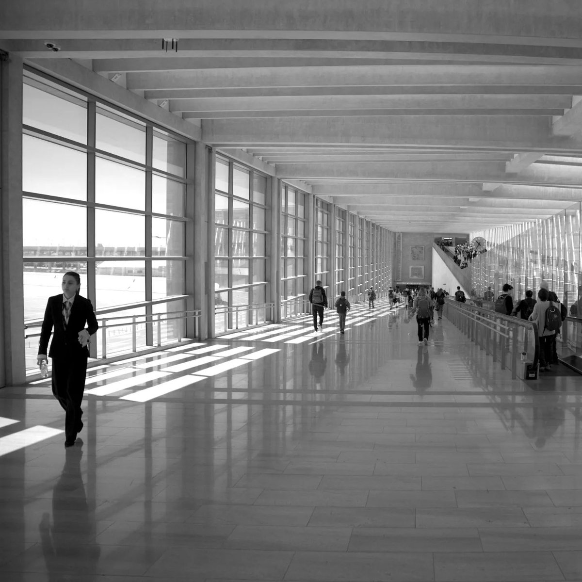 MarcoFosci's tweet photo. Tel Aviv, the corridor of the Ben Gurion Airport, travelers who have just landed on their way to the terminal.
—
#telaviv #bengurion #airport #israel #travellers #bags #trolley #black #white #bnw #bnwphotography #blackandwhite  #monochrome #bnwphotos #moments_in_bnw #moments_in_p https://t.co/2suSpQPvrq