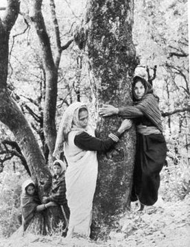 Every month on <a href="/WomensArt1/">#WOMENSART</a> is #WomensHistoryMonth 
The Chipko Movement,1970s-Indian, mainly women activists, who protected local forests from deforestation, a model for environmental movements globally. Where the term 'tree huggers' began  #WomensArt