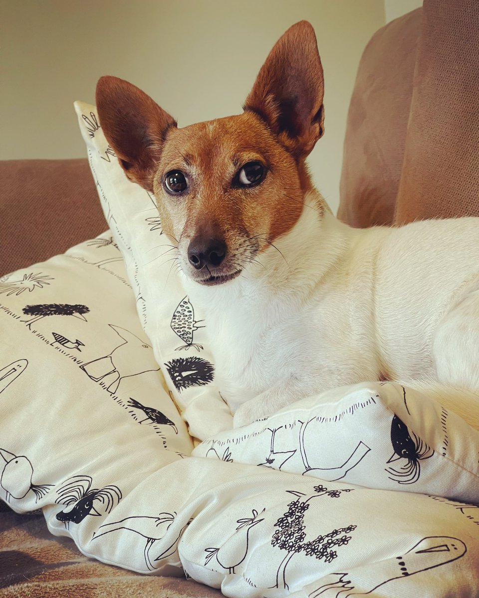 Sherlock tweet media