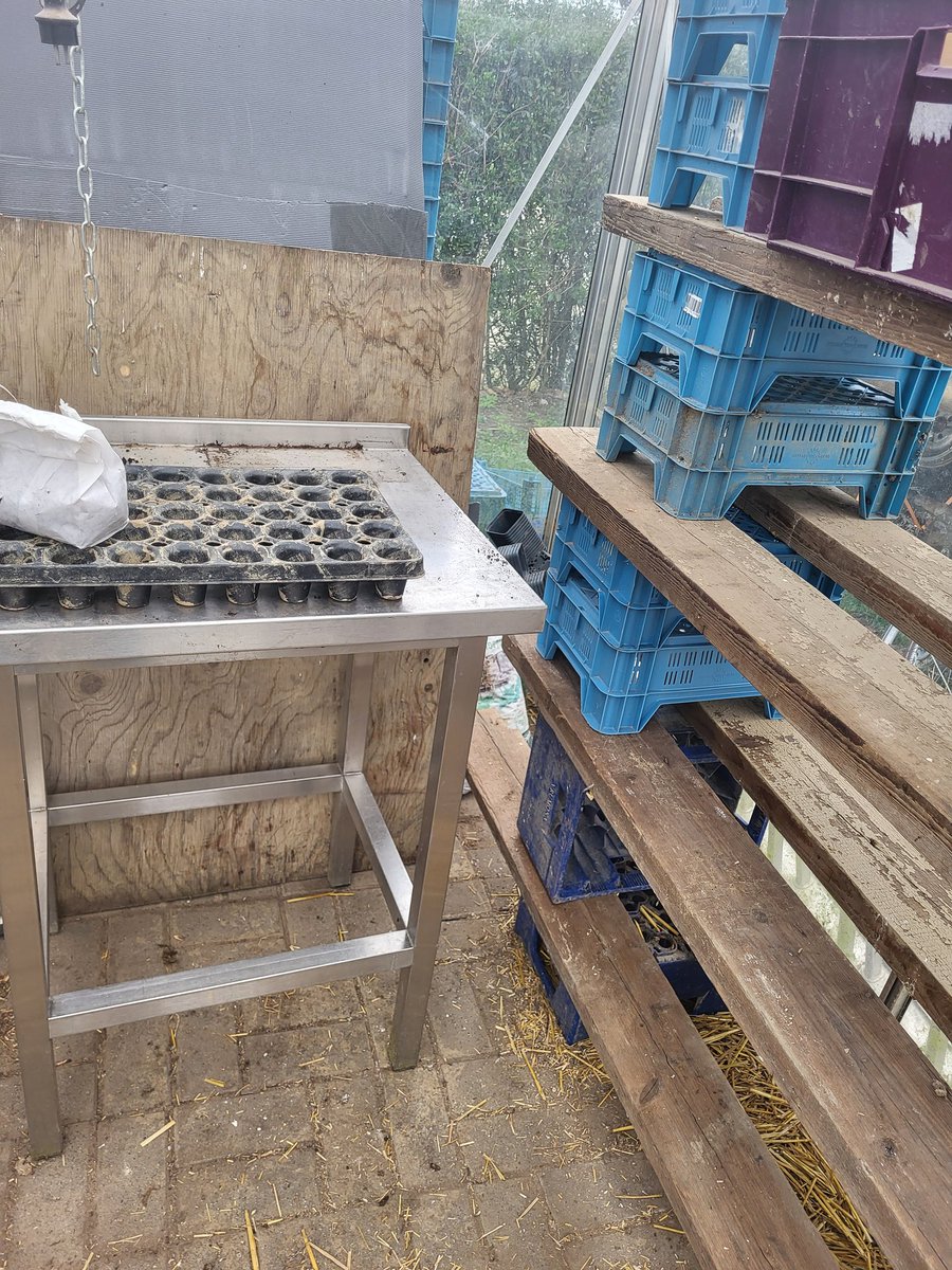 JlpvanRhee's tweet photo. Na het #hoogwater 2021 en het verdrinken van mijn opstartende #plantenkwekerij ,gaan we er dit #jaar weer voor in #moestuinmaesfeld. https://t.co/xdV8KIMnF2