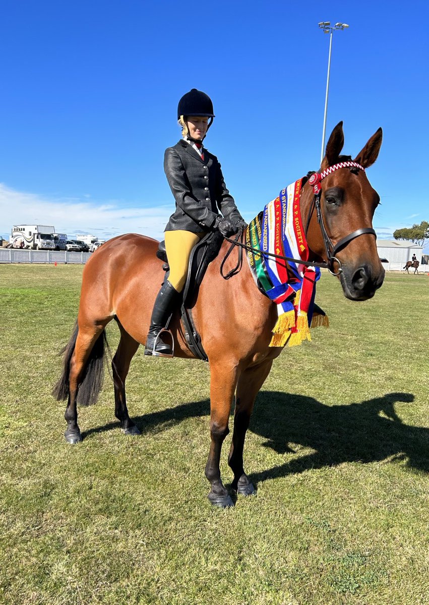 So proud of JILLIBY BABAVSKA today, stepping out at his first show and claiming Champion Led & Ridden Standardbred and the @Alabarfarms HERO Qualifier! Ridden by Stacey 🤩 @HRVHERO #Donald #tracktohack #lifeafterracing #natimukshow