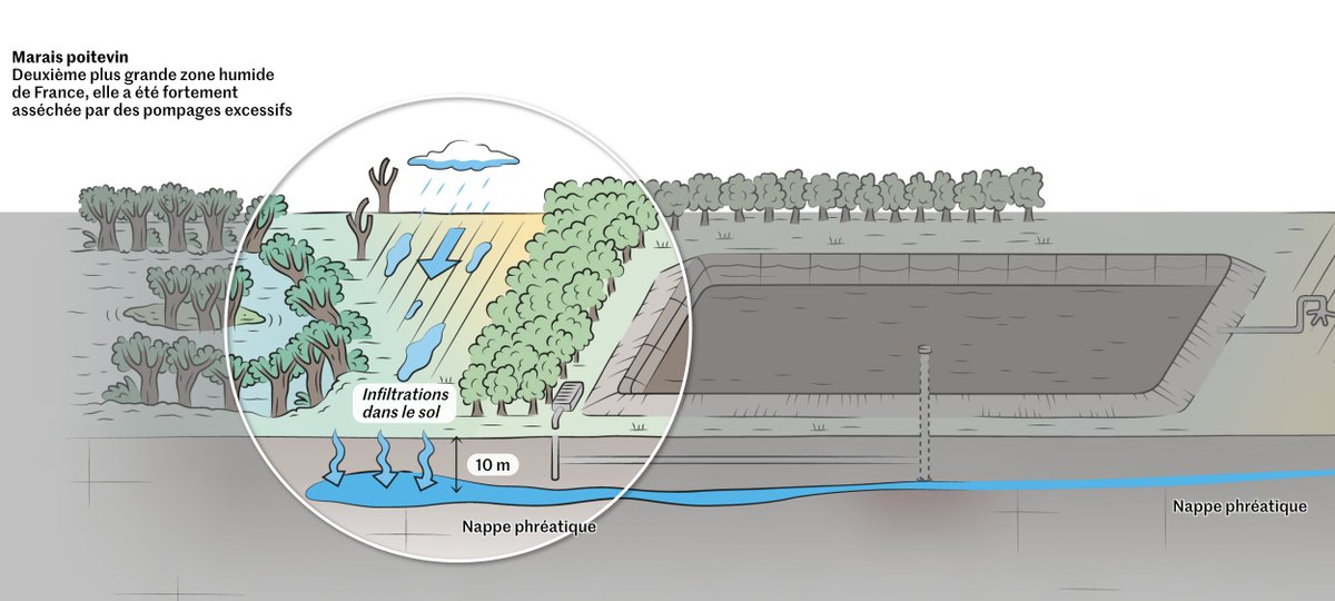 Autour des mégabassines, deux visions s’affrontent sur le partage de l’eau. Alors que les opposants à ces projets doivent se rassembler dans les Deux-Sèvres, le 25 mars, explication en carte et en image des projets et de leur fonctionnement
lemonde.fr/planete/articl…