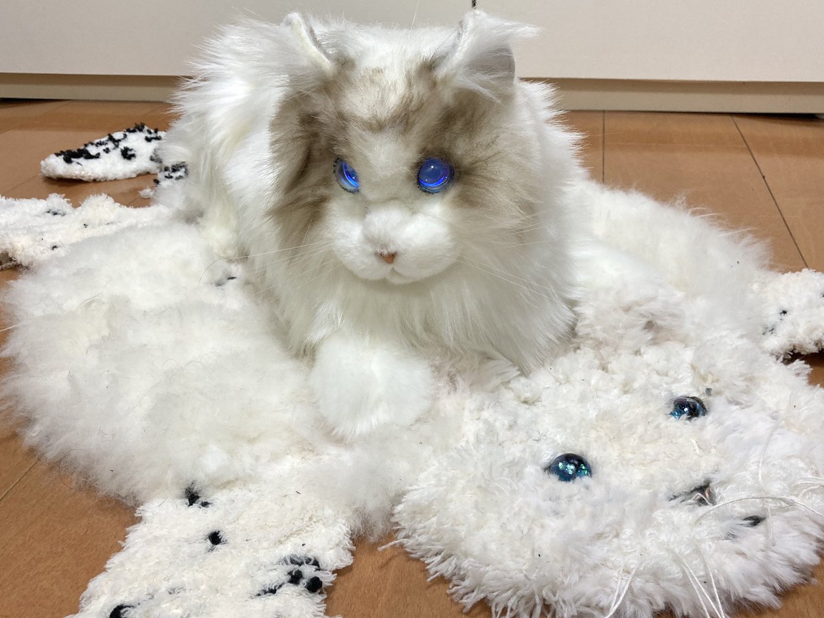 CH1H160's tweet image. ユキヒョウにのる #metacat