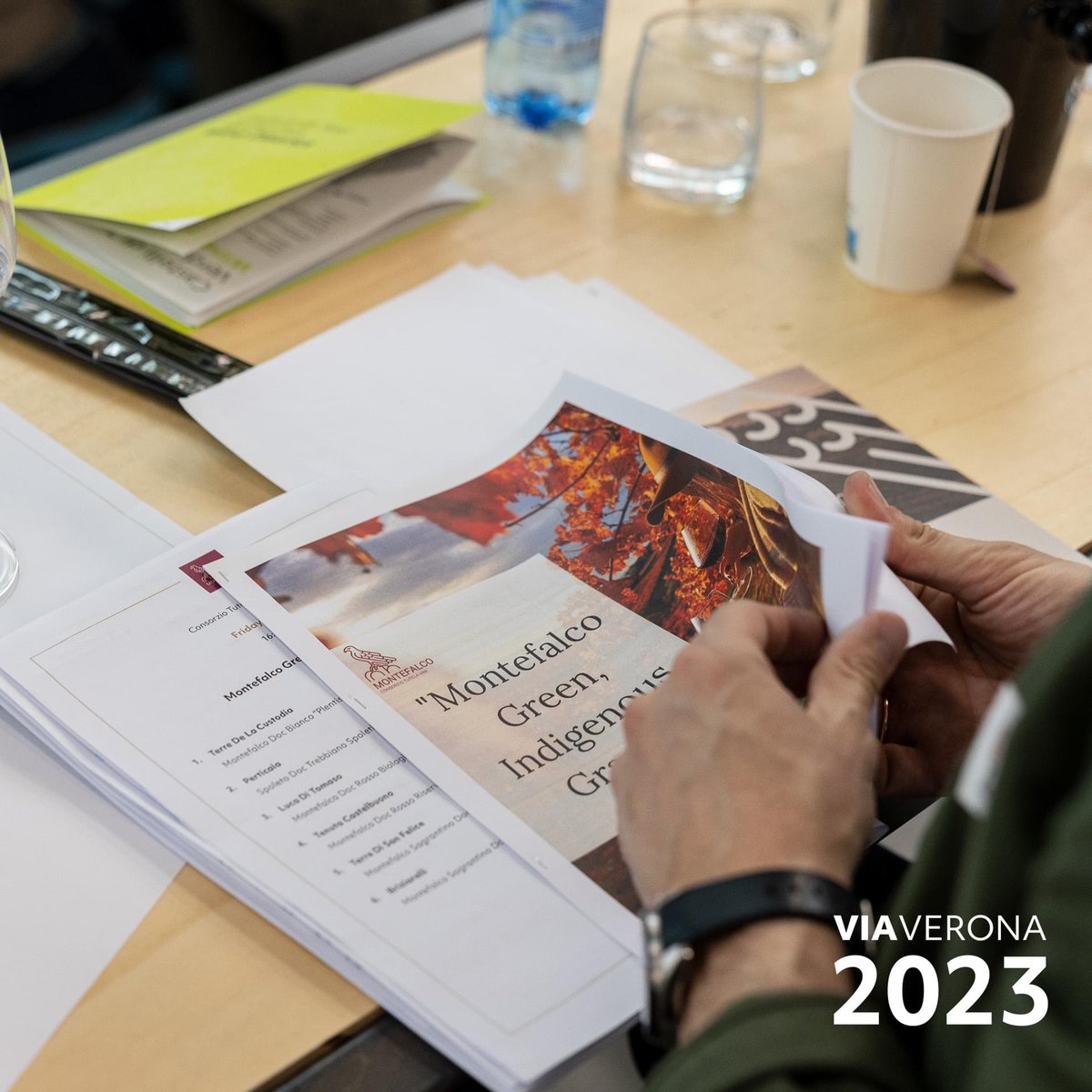 Il Consorzio Tutela Vini Montefalco è supporter della VIA - Vinitaly International Academy 

Per gli studenti del corso di perfezionamento e certificazione di Italian Wine Ambassador della VIA, a Verona in programma la Masterclass su “Montefalco Green e indigenous Grapes”