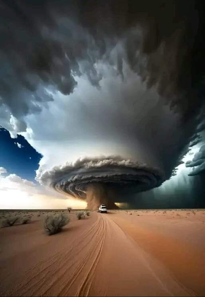 YChepkos's tweet image. "bichbich" strong communication