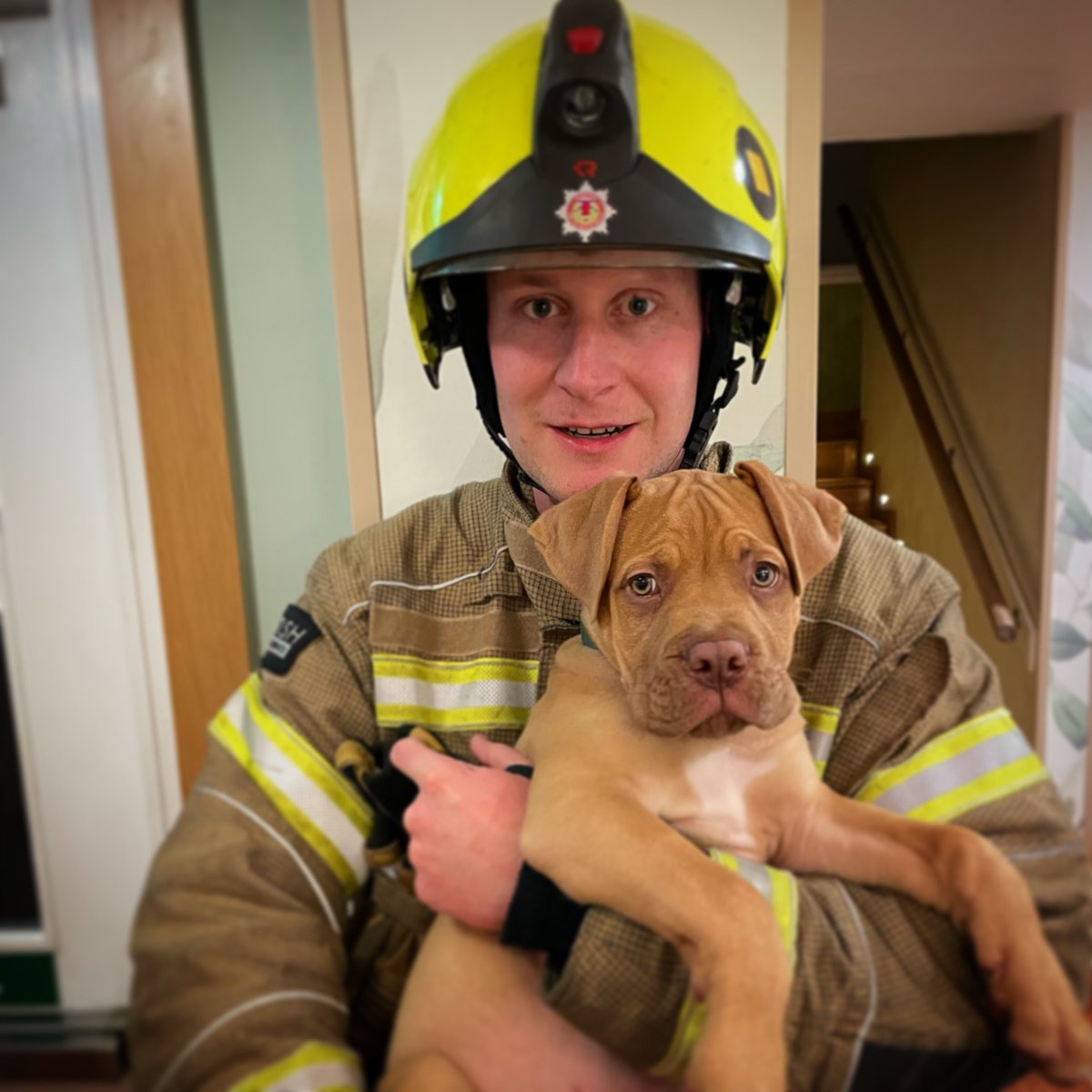 Linlithgow Fire Station tweet media