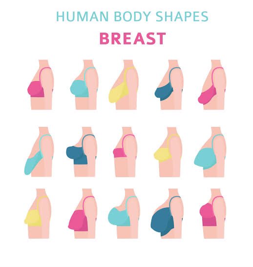 Girl Talk, Breast Shapes and Sizes