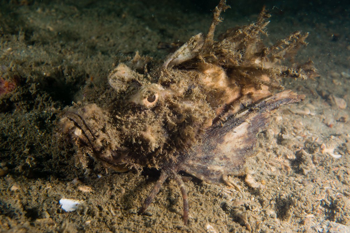 DanThΞMan Photography 📸 tweet media