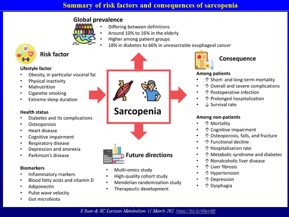 Epidemiology of sarcopenia: Prevalence, risk factors, and consequences. Epidemiological features of sarcopenia as well as consequences and risk factors of the disease. S Yuan &amp; SC Larsson Metabolism 11 March 202  bit.ly/40pv0fj  …review …no referral to osteosarcopenia