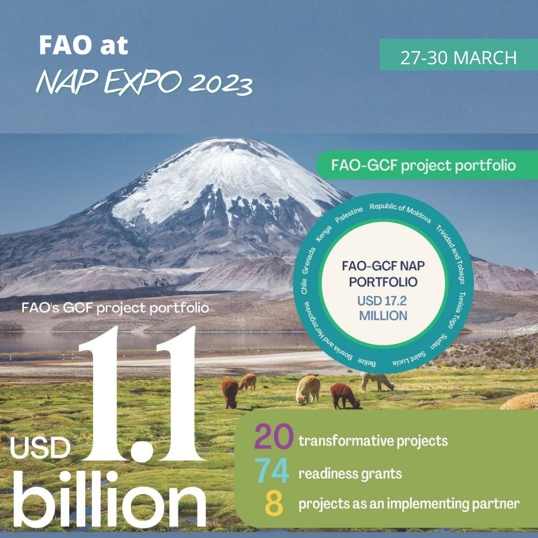 FAO Climate Change & Biodiversity (@faoclimate) on Twitter photo Did you know?
<a href="/FAO/">Food and Agriculture Organization</a> is working with 11 countries on <a href="/theGCF/">Green Climate Fund</a> readiness projects worth $17.2 million to enhance National #Adaptation Plans?
Visit our booth at #NAPEXPO 2023 to learn more.
ow.ly/iZlw50Nr8v0
ow.ly/AwXB50Nr8v2
<a href="/NAP_Central/">NAP Central</a> Did you know?
<a href="/FAO/">Food and Agriculture Organization</a> is working with 11 countries on <a href="/theGCF/">Green Climate Fund</a> readiness projects worth $17.2 million to enhance National #Adaptation Plans?
Visit our booth at #NAPEXPO 2023 to learn more.
ow.ly/iZlw50Nr8v0
ow.ly/AwXB50Nr8v2
<a href="/NAP_Central/">NAP Central</a>