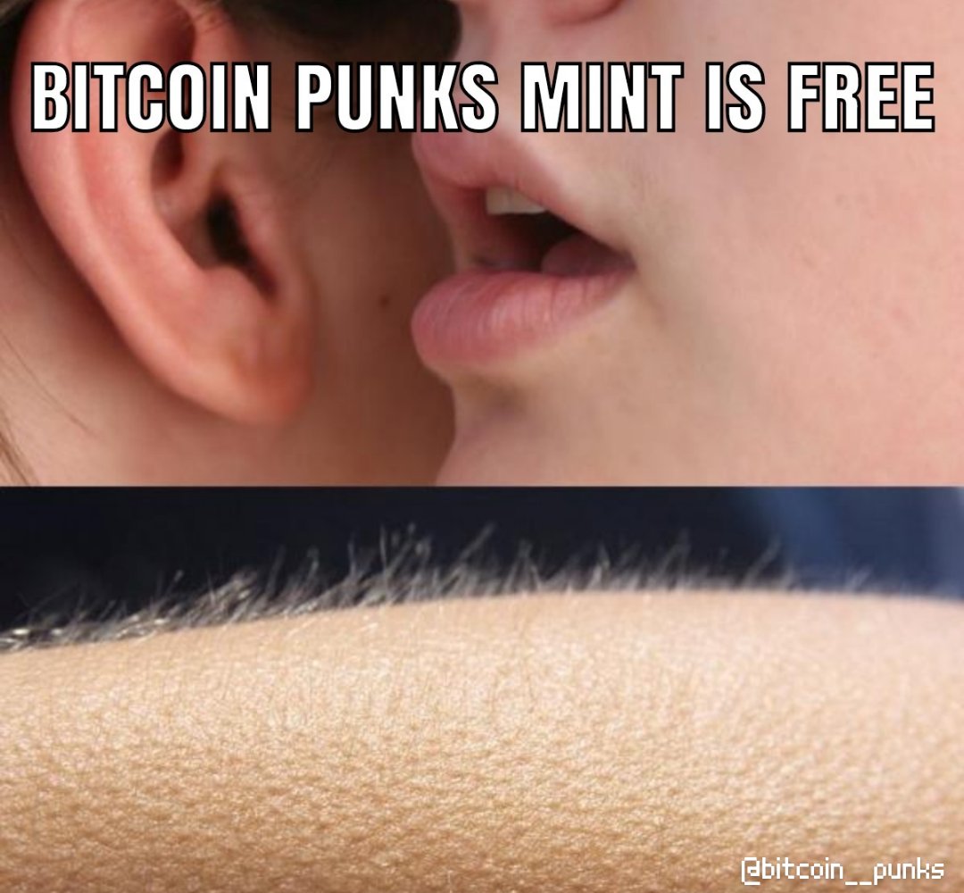 Bitcoin Punks Project tweet media