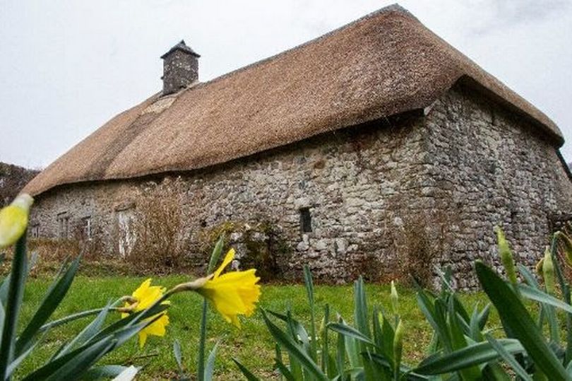 Plymouth Live tweet media